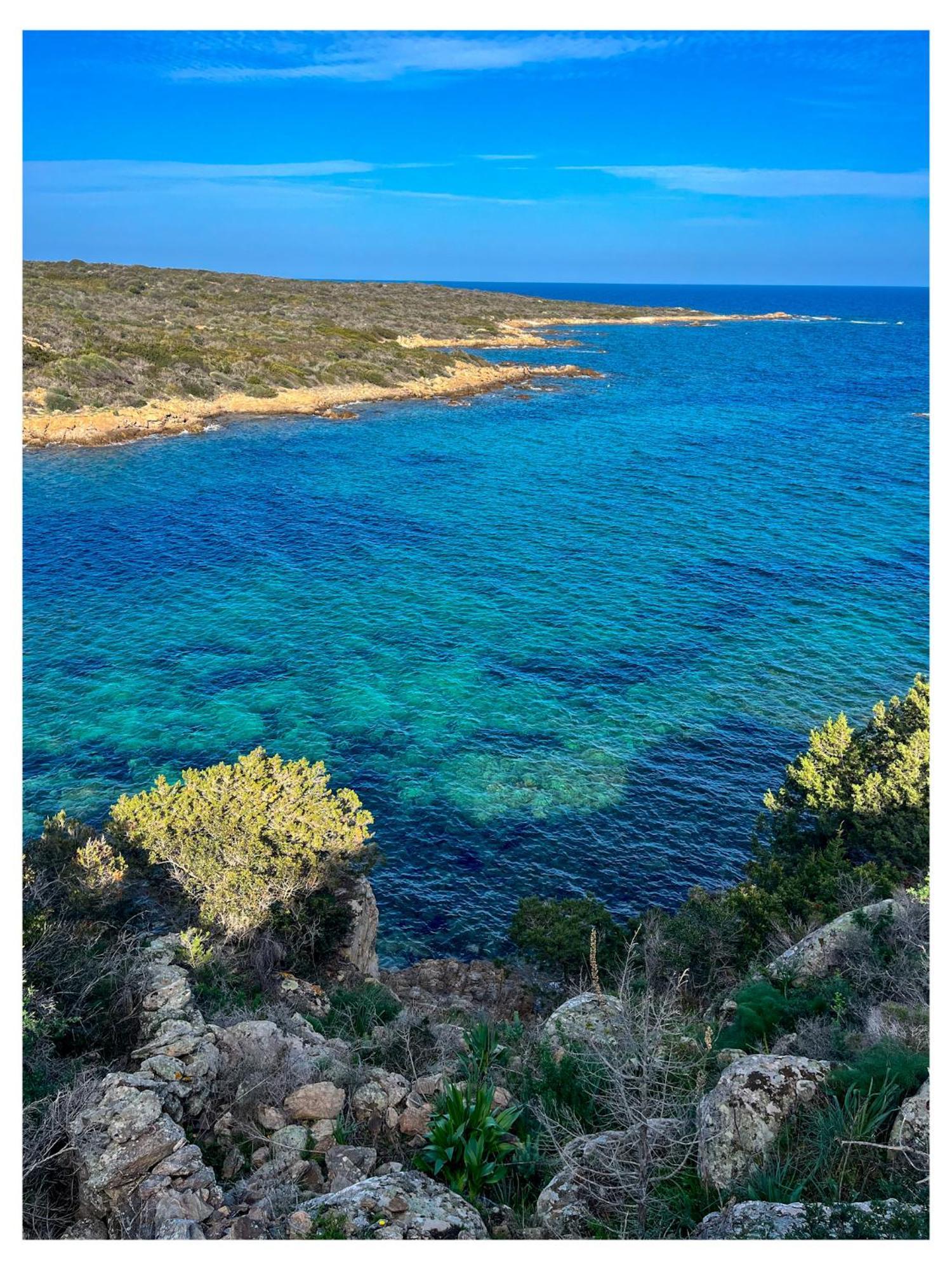 Dalex Sardinia *